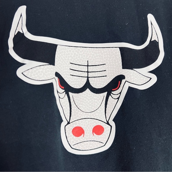 Nike x NBA Chicago Bulls City Edition Textured Logo Tee M - Picture 5 of 7